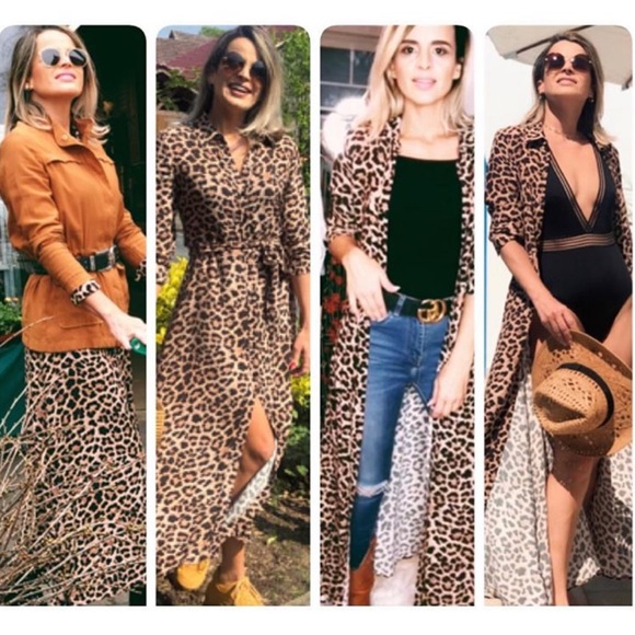 NWT Zara Animal Print Dress - Picture 3 of 8